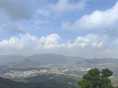 -三亚亚龙湾人间天堂鸟巢度假村