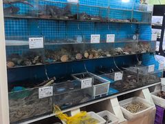 -宾朋海鲜饭庄(兴海路店)