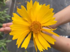 -白塘生态植物园