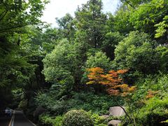 -临平公园(临平街道)