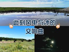 -丰宁坝上草原