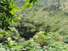 -海口火山口国家地质公园