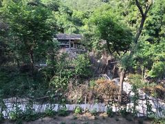 -大岭沟猕猴桃谷风景区