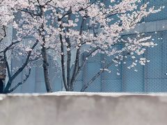 -龙美术馆(西岸馆)