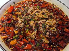 -雲蜀龙阁·金牌水煮鱼(方庄店)