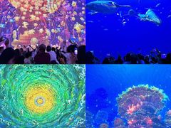 -海合安青岛极地海洋公园