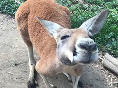 -可伦宾野生动物保护区