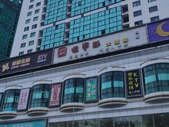 -楼上猫咖(罗湖店)
