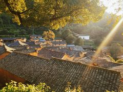 -杨家堂村