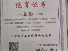 -仁仁嘉嘉宠物医院·骨外科中心·髋关节置换(北仑分院)