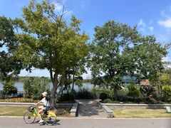 -上海长兴岛郊野公园