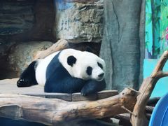 -石家庄市动物园