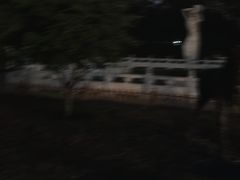 -丰台花园