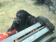 -鄂尔多斯野生动物园