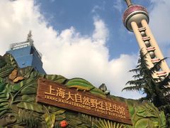 -上海大自然野生昆虫馆(东方明珠·爬宠昆虫探索中心)
