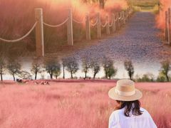 -汉长安城未央宫国家考古遗址公园