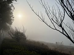 -东钱湖旅游度假区