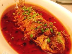 -大榕树下顺德菜(融创茂店)