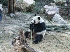-宁波野生动物园
