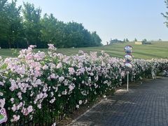 -南京国际青年文化中心