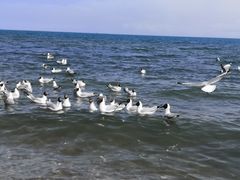 -青海湖二郎剑景区