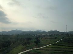 -茅庐毛血旺(烟台大悦城店)
