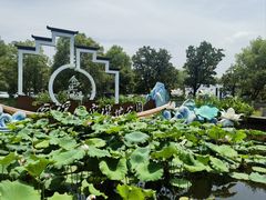 -西溪国家湿地公园