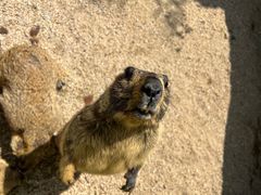 -泉州海丝野生动物世界