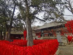 -红螺寺