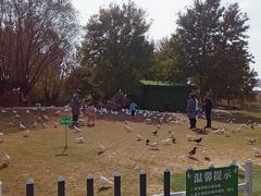 -南通洲际绿博园