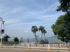 -武汉大学-樱园