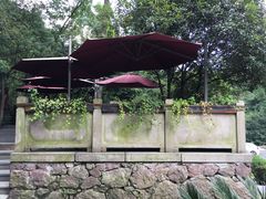 -龙井壹号·茶缘山景宴(龙井村店)