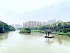 -金山公园