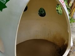 -100蛋泥浆浴