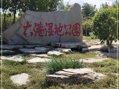 -大港湿地公园