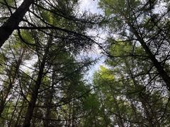 -草原天路(张北县)