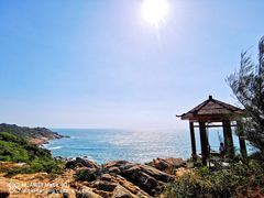 -广东惠东海龟国家级自然保护区
