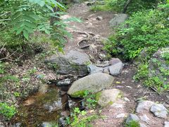 -云岫谷游猎自然风景区