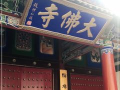 -张掖大佛寺景区