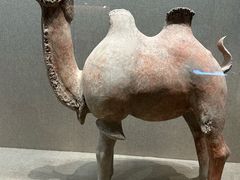 -敦煌市博物馆