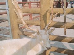 -商丘市人民公园