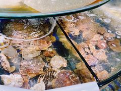 -海之味海鲜大咖·家常菜