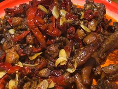 -柴窝堡22号辣子鸡·传承新疆菜