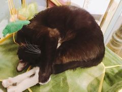 -小时光咖啡馆(开森度假森林店)