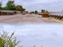 -上海滨江森林公园