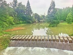 -桤木河湿地公园