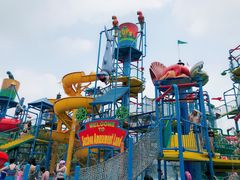 -苏州乐园森林水世界