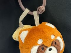 -百莲春保罗·上海菜(虹桥新天地店)