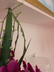 -薇兰专业脱毛连锁机构