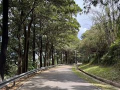 -风云岭森林公园